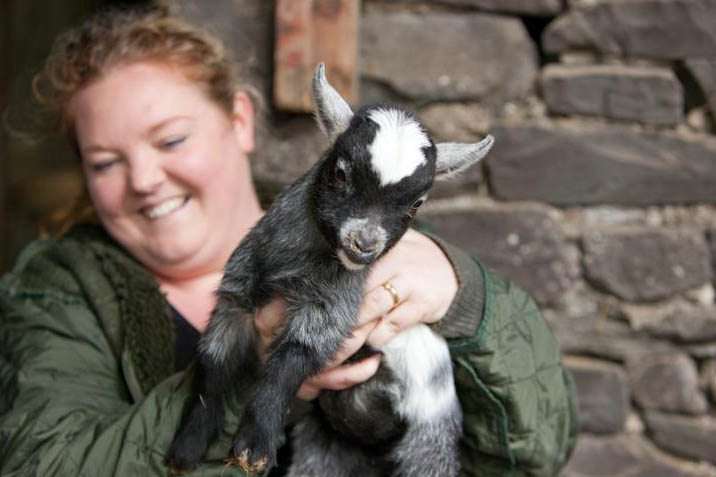 Lane Ends Pygmy Goats